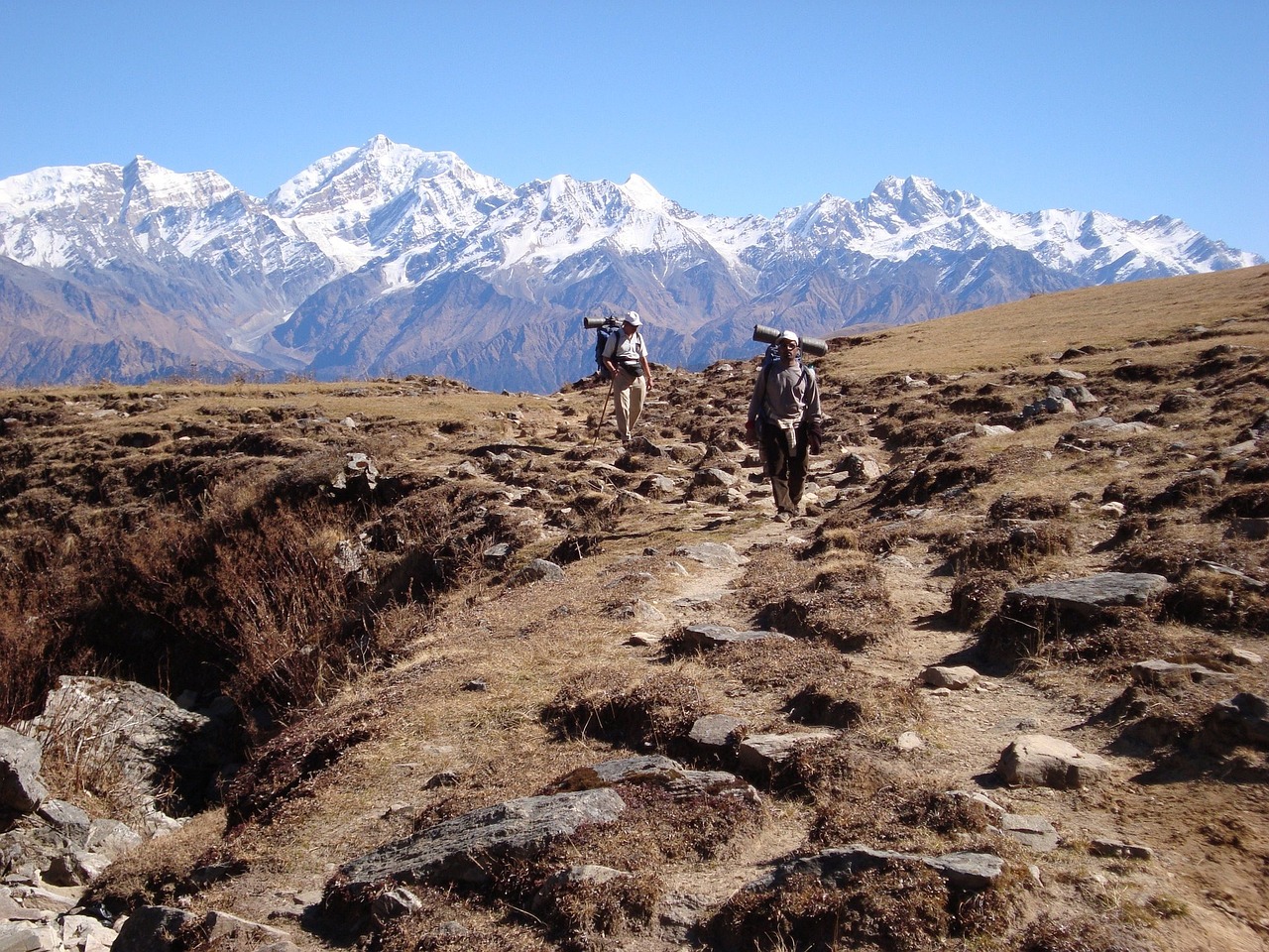 trekkers, himalayas, mountains-339972.jpg